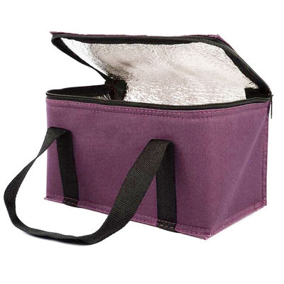 OEM طباعة مخصصة كيس بارد عازل ناعم 21 * 13 * 14 سم مع سعة 4L 16L 32L